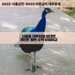 신흥동대부대출 신흥동비대면대출 전북익산시대부업체 신흥동급전대출개인돈 신흥동소액월변대출