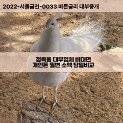 정족동대부대출 정족동비대면대출 전북익산시대부업체 정족동급전대출개인돈 정족동소액월변대출