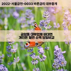 금암동대부대출 금암동비대면대출 전주시덕진구대부업체 금암동급전대출개인돈 금암동소액월변대출