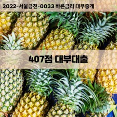 KCB407점대부대출 NICE407점비대면대출 KCB407점소액대부업체 NICE407점급전대출개인돈 KCB407점월변대출