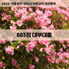 KCB603점대부대출 NICE603점비대면대출 KCB603점소액대부업체 NICE603점급전대출개인돈 KCB603점월변대출