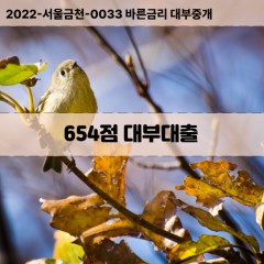 KCB654점대부대출 NICE654점비대면대출 KCB654점소액대부업체 NICE654점급전대출개인돈 KCB654점월변대출