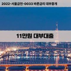 11만원대부대출 11만원비대면대출 11만원소액대부업체 11만원급전대출개인돈 11만원월변대출