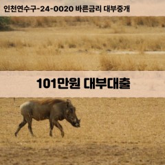 101만원대부대출 101만원비대면대출 101만원소액대부업체 101만원급전대출개인돈 101만원월변대출