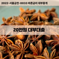 20만원대부대출 20만원비대면대출 20만원소액대부업체 20만원급전대출개인돈 20만원월변대출