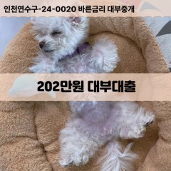 202만원대부대출 202만원비대면대출 202만원소액대부업체 202만원급전대출개인돈 202만원월변대출