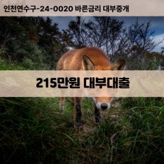 215만원대부대출 215만원비대면대출 215만원소액대부업체 215만원급전대출개인돈 215만원월변대출