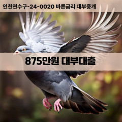 875만원대부대출 875만원비대면대출 875만원소액대부업체 875만원급전대출개인돈 875만원월변대출