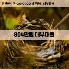 804만원대부대출 804만원비대면대출 804만원소액대부업체 804만원급전대출개인돈 804만원월변대출