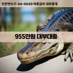 955만원대부대출 955만원비대면대출 955만원소액대부업체 955만원급전대출개인돈 955만원월변대출