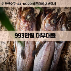 993만원대부대출 993만원비대면대출 993만원소액대부업체 993만원급전대출개인돈 993만원월변대출