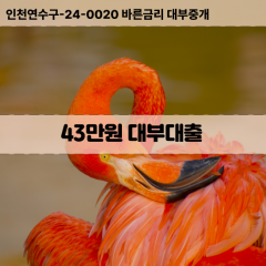 43만원빠른돈 43만원급한대출 43만원당일대출 43만원비대면무방문 43만원비교대출상담