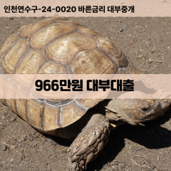 966만원대부대출 966만원비대면대출 966만원소액대부업체 966만원급전대출개인돈 966만원월변대출