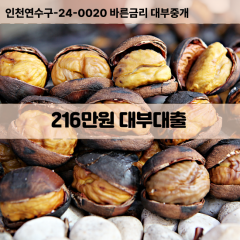 216만원빠른돈 216만원급한대출 216만원당일대출 216만원비대면무방문 216만원비교대출상담