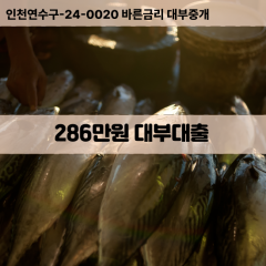 286만원빠른돈 286만원급한대출 286만원당일대출 286만원비대면무방문 286만원비교대출상담