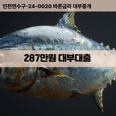 288만원빠른돈 288만원급한대출 288만원당일대출 288만원비대면무방문 288만원비교대출상담