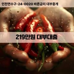 219만원빠른돈 219만원급한대출 219만원당일대출 219만원비대면무방문 219만원비교대출상담