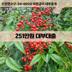 251만원빠른돈 251만원급한대출 251만원당일대출 251만원비대면무방문 251만원비교대출상담