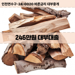 246만원빠른돈 246만원급한대출 246만원당일대출 246만원비대면무방문 246만원비교대출상담